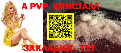стаф Канаш