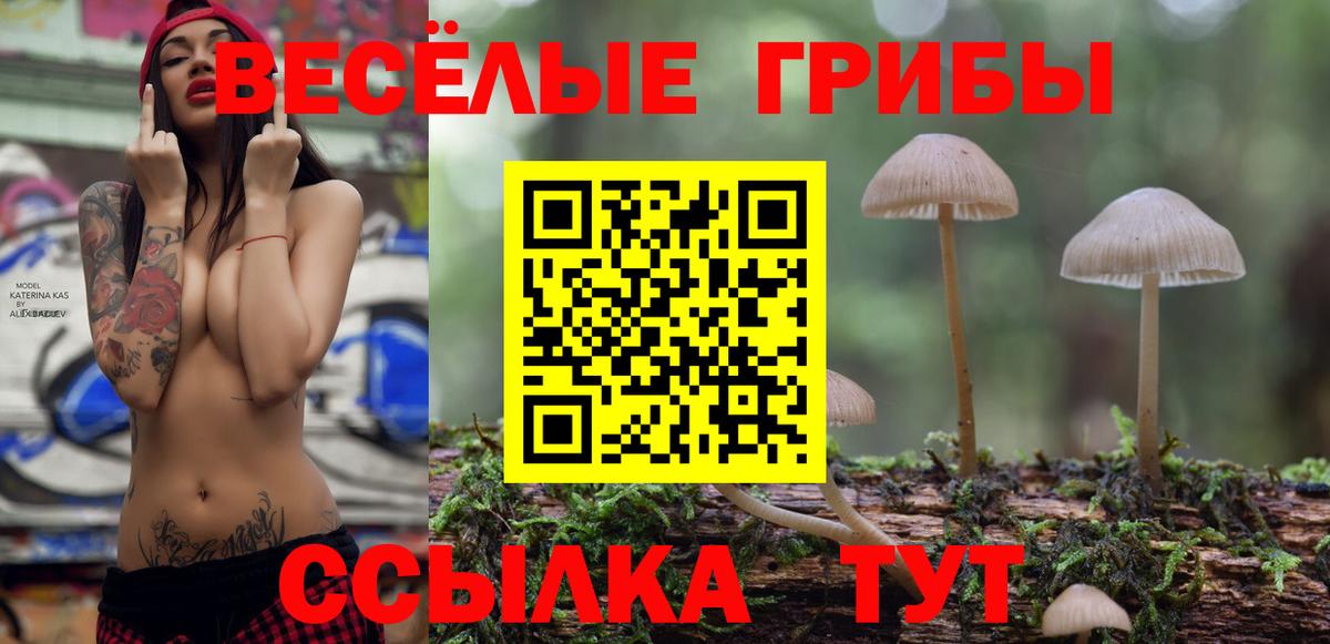 Галлюциногенные грибы прущие грибы  где можно купить наркотик  Лесной  Вход с VPN 